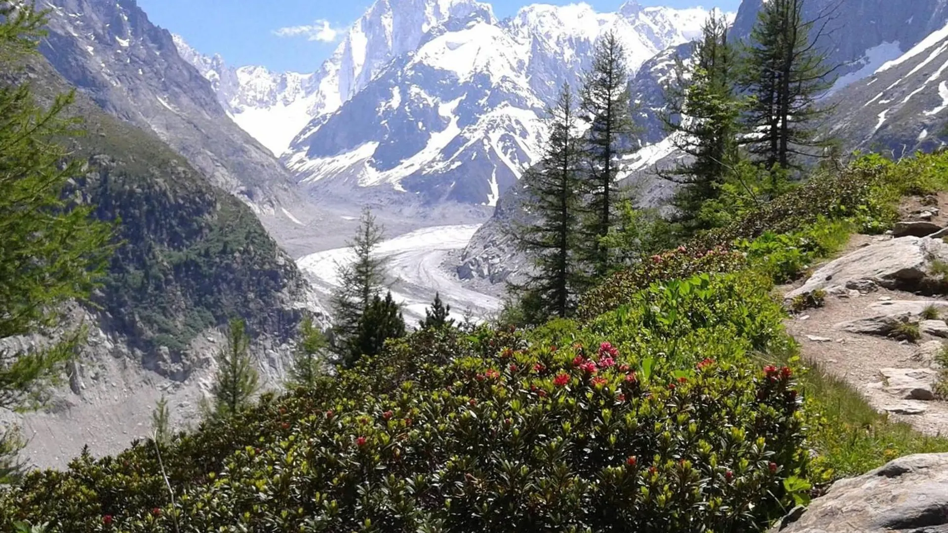 Appartement Cosy A Chamonix Mont Blanc 30M² Local A Skis Apartment